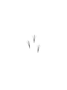 Wispy - 5D - sypané - 500ks